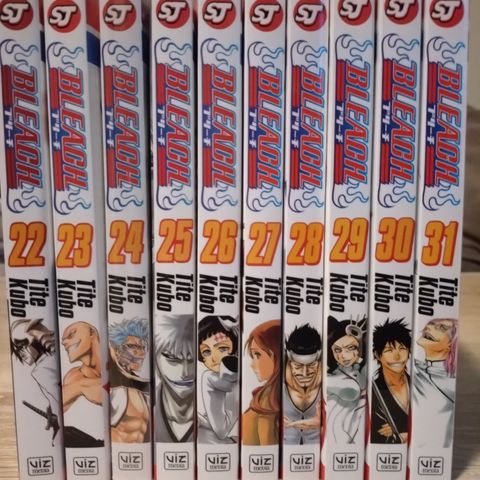 Bleach manga