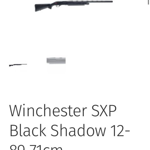 Winchester sxp 12/89