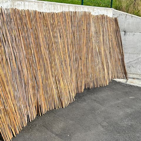 Bambus levegg/gjerde