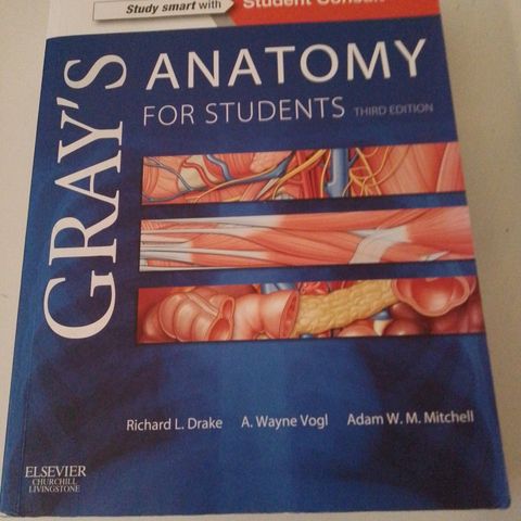 gray's anatomy for students third edition