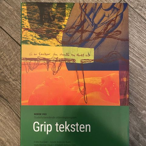 Norsk, VG3 - Grip Teksten