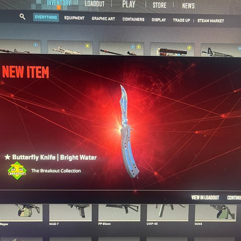 CS2 Butterfly Knife | Bright Water