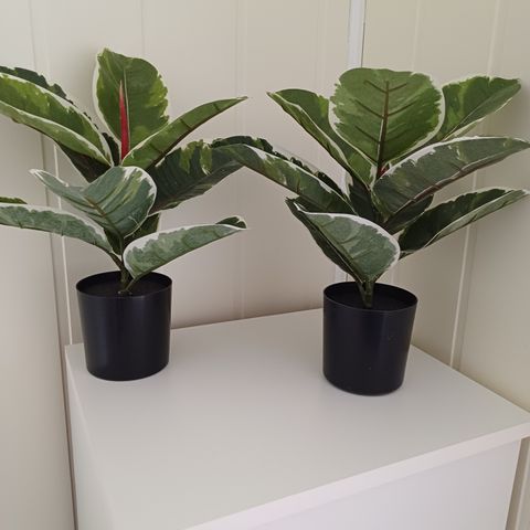2 fine kunstige planter