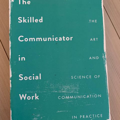 The skilled communicator in social work