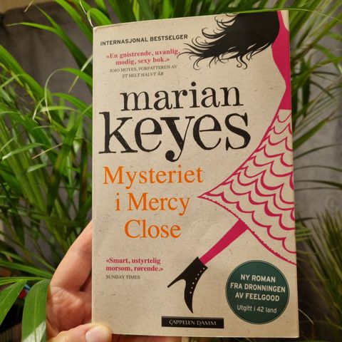 Mysteriet i Mercy CloseAv Marian Keyes.