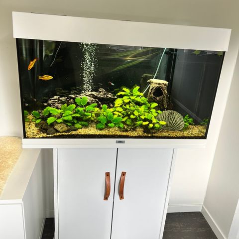 Akvarie 125 liter Juwel