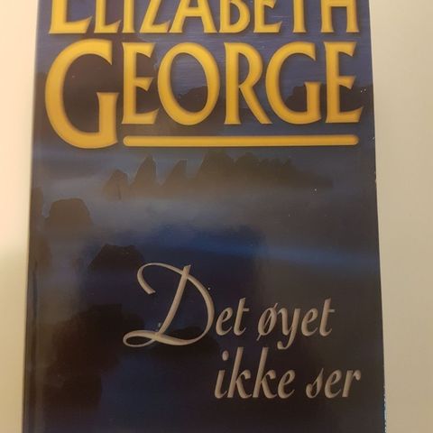 Det øyet ikke ser - Elizabeth George