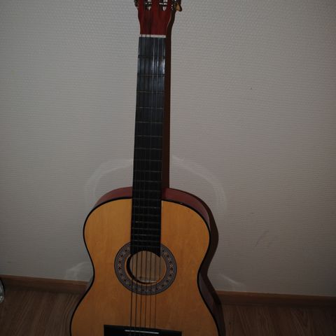 Akustisk Gitar