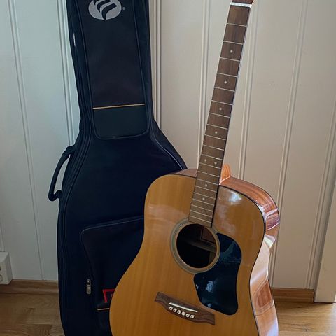 Walden D350, gitarstativ og gitarveske