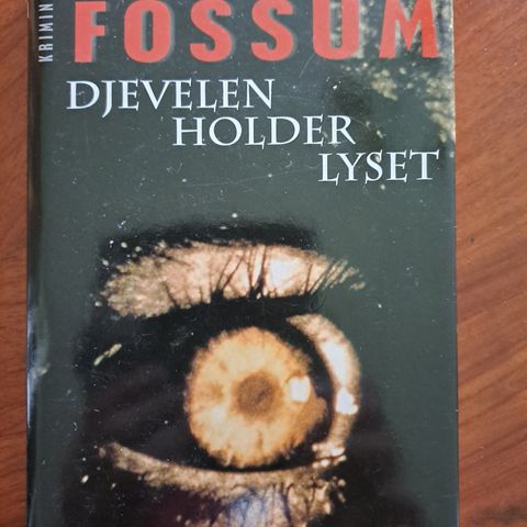 Karin Fossum, Djevelen holder lyset