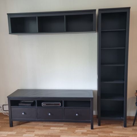 Hemnes tv seksjon