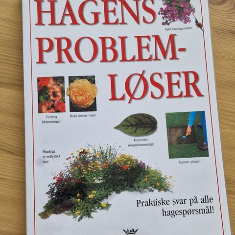 Hagens problemløser