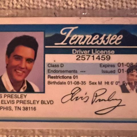 Elvis souvernir førekort
