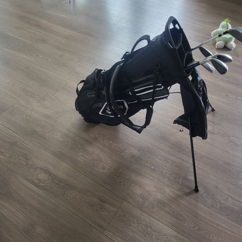 Golf bag