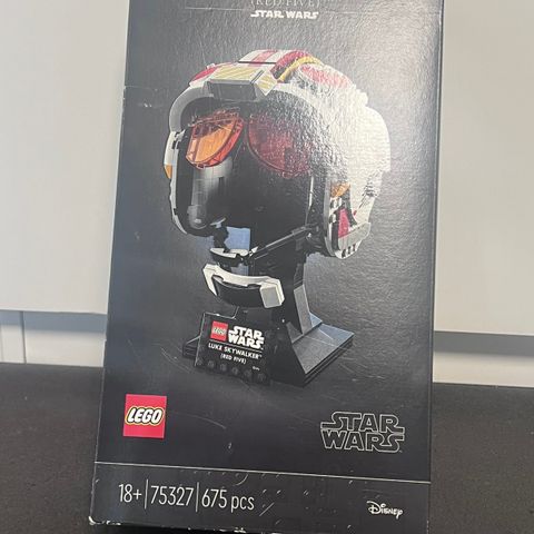 Skywalker Helmet (red five)