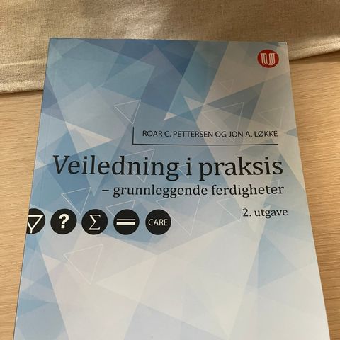 Veiledning i praksis