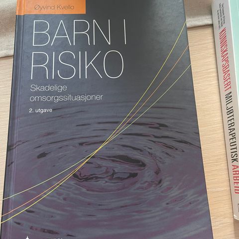 Barn i risiko