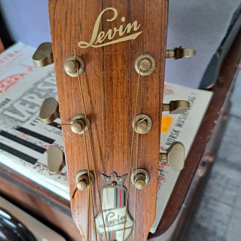 Vintage Levingitar