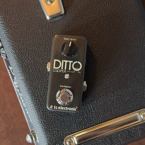 TC ditto Looper