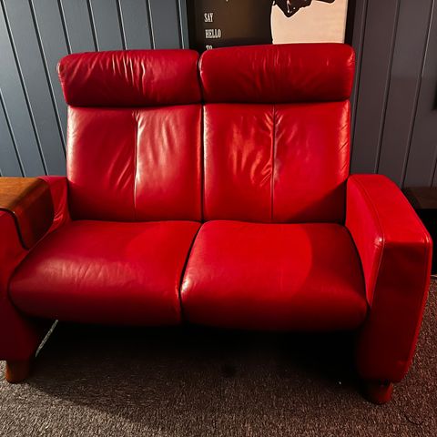 Ekornes kinogruppe