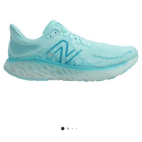 New Balance Fresh Foam 1080