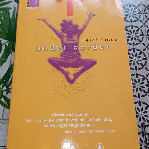 Heidi Linde- Under bordet