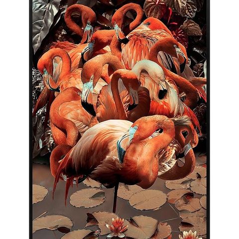 Ubrukt flamingobilde