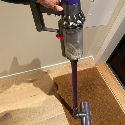 Dyson Cyclone V10 Animal