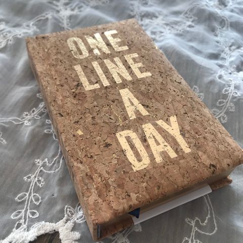 Notatbok «one line a day»