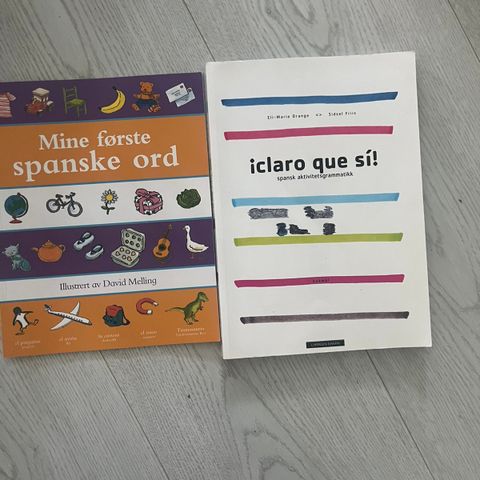 Spansk aktivitetsgrammatikk