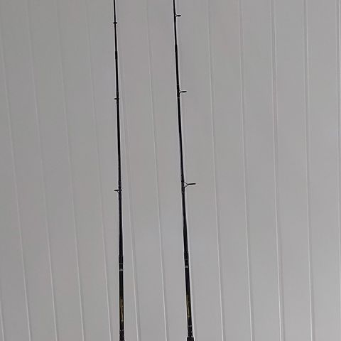 2-fiskestang med snelle pent brukt for salg