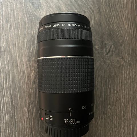 Canon EF 75-300/4.0-5.6 objektiv