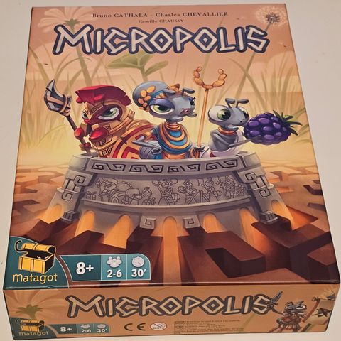 Micropolis