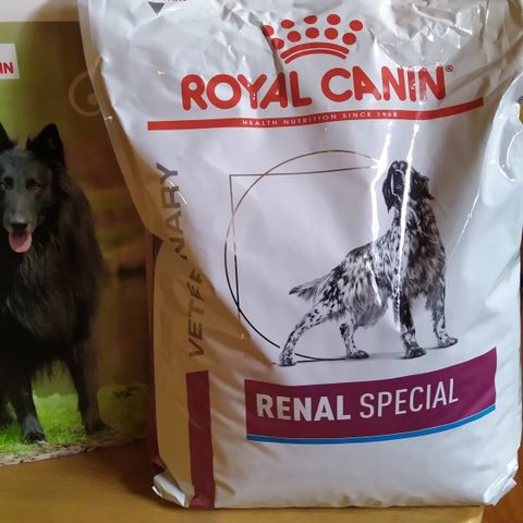 Royal Canin Renal special hundefor