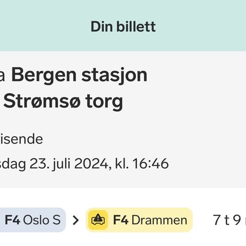 Tog Bergen- Drammen/ Oslo 23.7