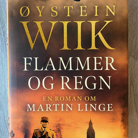 Flammer og regn av Øystein Wiik