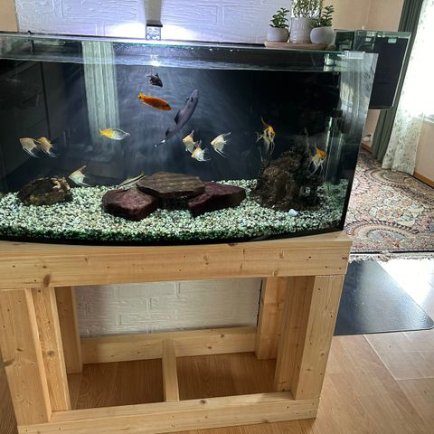 170 liter akvarium med filter og hjemmelaget bord.