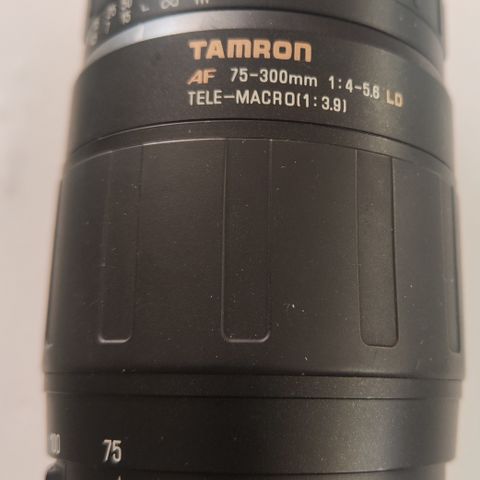 Tamrom 75-300 med Canon fatning