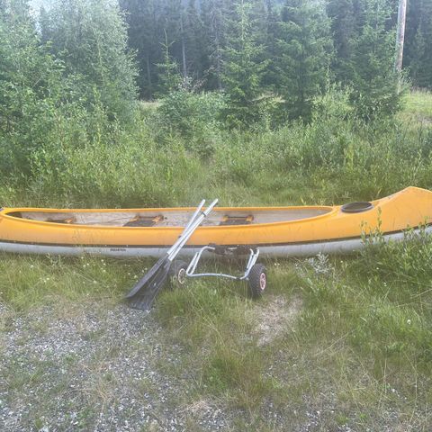 Skadet kano gis bort mot henting på Kvitfjell Vest, Fåvang