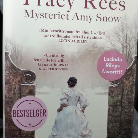Tracy Rees . Mysteriet Amy Snow