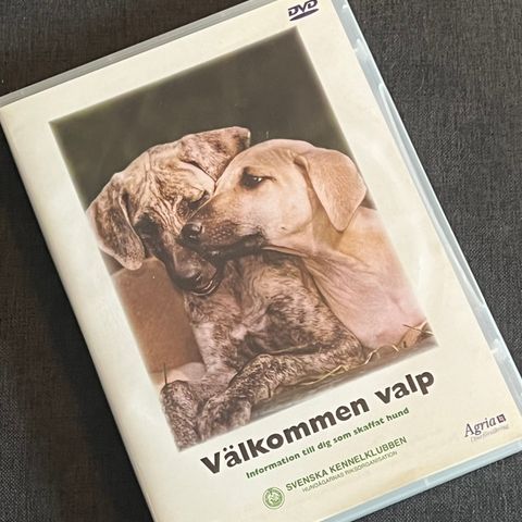 Valp : velkommen DVD med informasjon til deg som skaffer deg hund