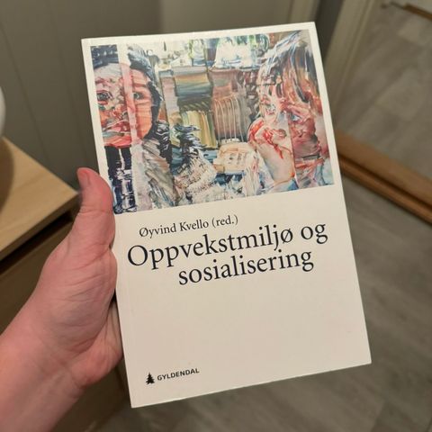 Oppvekstmiljø og sosialisering