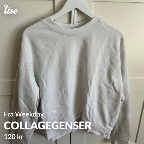 Collagegenser fra Weekday