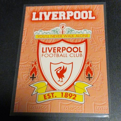 Liverpool E10 Merlin's Premier Gold 1996-97