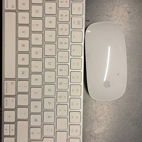 Apple Magic Tastatur og mus