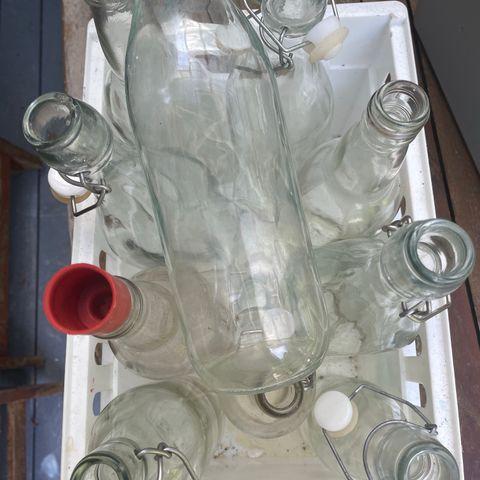 Glass flasker til safting