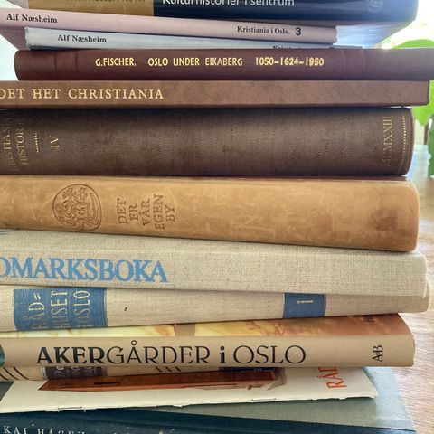 Bøker om Oslo - Kristiania  - Rådhuset