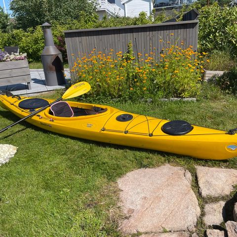 Fredrikstad:  Havkajakk Seabird Expedition Åfjord