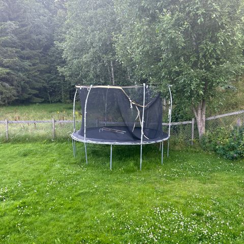 Trampoline