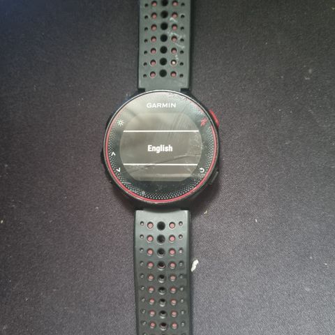 Garmin forerunner 325